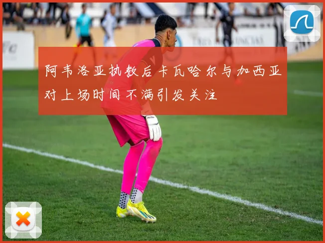 阿韦洛亚执教后卡瓦哈尔与加西亚对上场时间不满引发关注