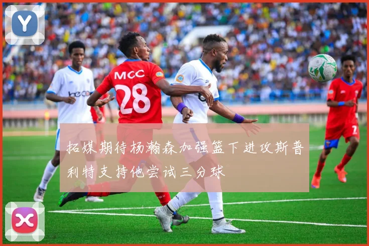 拓媒期待杨瀚森加强篮下进攻斯普利特支持他尝试三分球